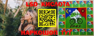 гашик Новокубанск