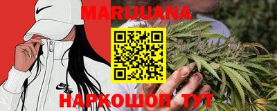 гашик Новокубанск