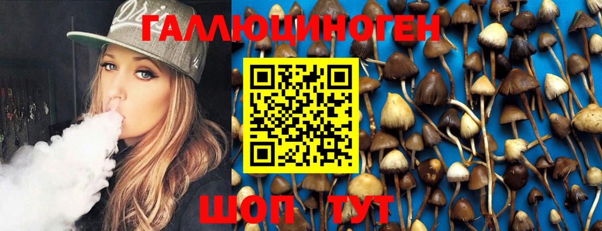 Псилоцибиновые грибы GOLDEN TEACHER Учалы