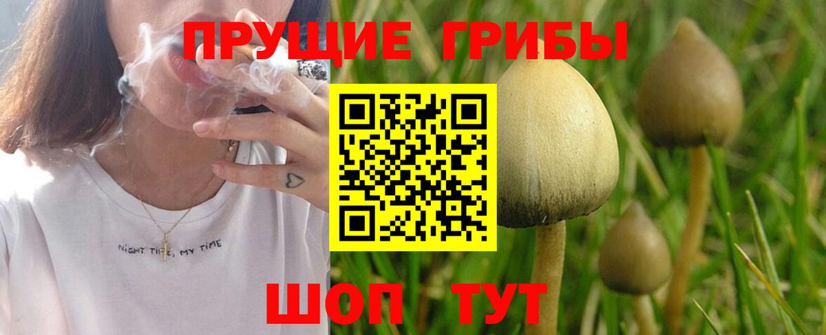 Учалы  Псилоцибиновые грибы прущие грибы  Галлюциногенные грибы мухоморы  Вход с VPN 